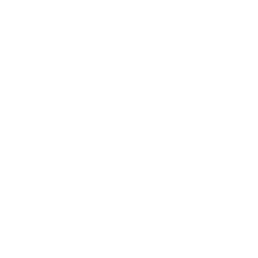 Google Partner